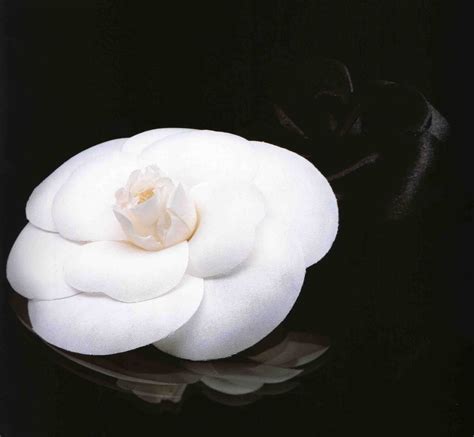 coco chanel flowers|Chanel brooch camellia.